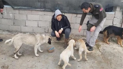 Çevre, Doğa ve Hayvan Polisinden Sokak Hayvanlarına Mama Desteği