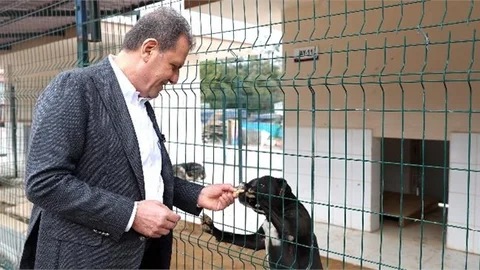 Seçer, Hayvanların Kısırlaştırılması Konusunda Vatandaşlara Çağrıda Bulundu