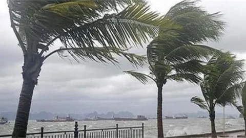 Kuvvetli Rüzgar ve Fırtına Uyarısı