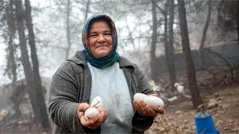 Mersin Büyükşehir’in Kazanç Projesi ‘yumurtalarını’ Vermeye Başladı