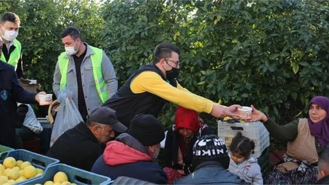 Limon Hasadı Yapılıyor, Çorbalar Kaynıyor