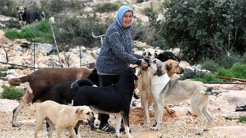 Mersin Büyükşehir’le Gönüllü Hayvanseverler El Ele