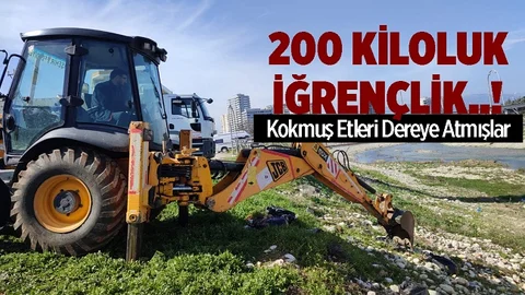 Mersin'de Dereye Atılan Kokmuş Etler İmha Edildi