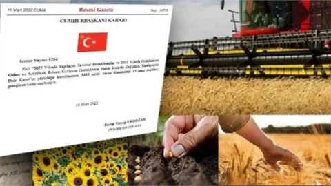 Yağlık Ayçiçeğinde Destekleme Havzası Genişletildi