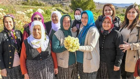 Mersin Büyükşehir’le Torosların Etekleri Nergis Kokuyor