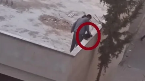 Yavru Köpeği Önce Darp Etti Sonra Aşağı Attı