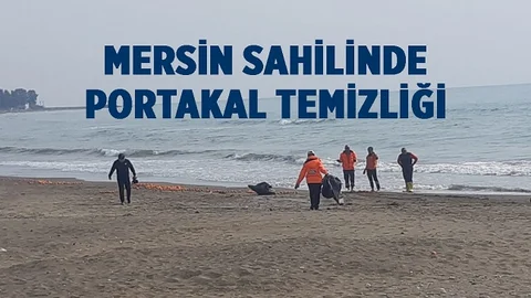 Mersin'de Sahile Vuran Portakallar Temizlendi