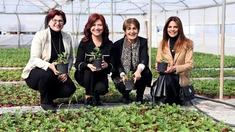 Ata Toprağından Türkiye’ye Silifke Çileği