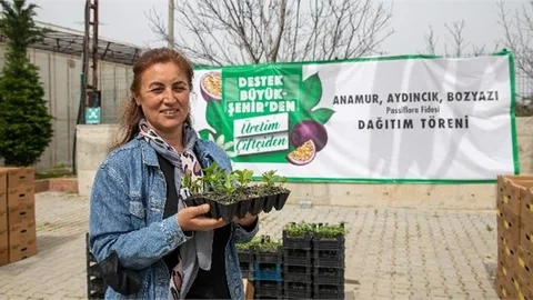 Mersin Büyükşehir’den Üreticiye Yeni Destek: "Passiflora Fidesi"