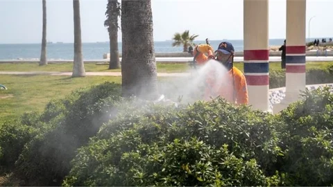 Büyükşehir Ekipleri, Sıcaklıkların Artmasıyla Birlikte Yeşil AKSAm İlaçlama Çalışmalarına Hız Verdi