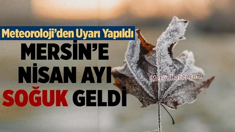 Mersin’in Yüksek Kesimlerinde Zirai Don Hadisesi Bekleniyor