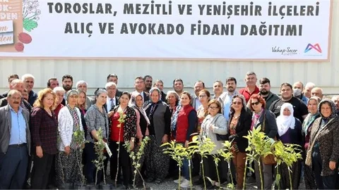 Mersin Büyükşehir’den Toroslar, Mezitli ve Yenişehir’deki 105 Üreticiye Avokado ve Alıç Fidanı