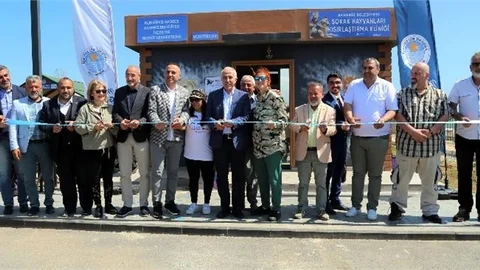 Mersinli Hayvan Severlerin Uzun Süredir Beklediği Bir Hayali Gerçekleşti