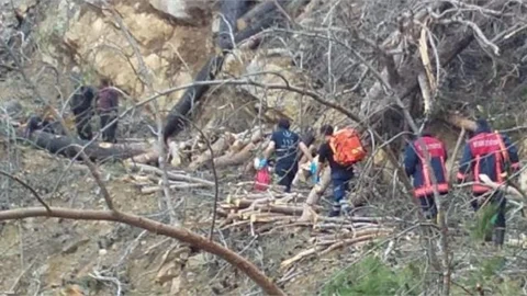 Mersin'de Ormanda Çalışan İşçinin Üzerine Ağaç Devrildi