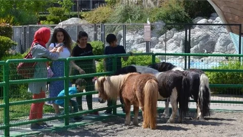 Mersin Büyükşehir Tarsus Doğa Parkı’nda Çocuklar Bayram Sevinci Yaşadı