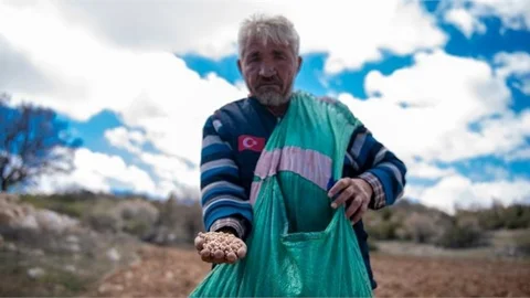 Mersin Büyükşehir’le Üretici Kazanıyor, Yerel Tohumlar Korunuyor
