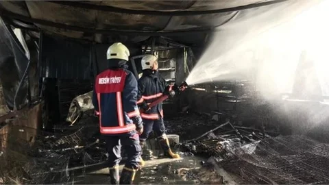 Mersin'de Çıkan Yangında Çok Sayıda Hayvan Telef Oldu