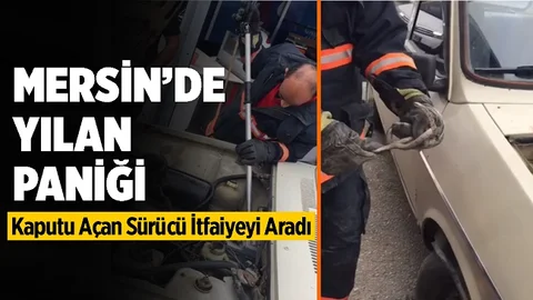 Mersin’de Otomobilin Motoruna Giren Yılanı İtfaiye Çıkardı