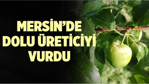 Dolu Yağışının Görüldüğü Bölgelerde Tarım Ürünlerinde Zarar Oluştu