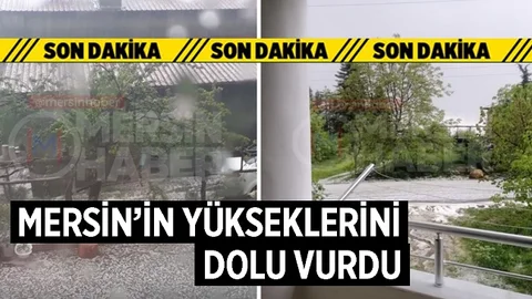 Dolu Yağışı Sebebiyle Tarım Ürünleri Zarar Gördü