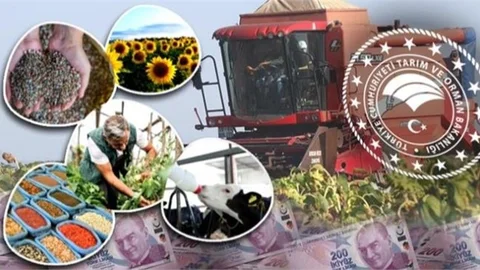 Tarım ve Orman Bakanlığı 3 Milyar 176 Milyon Liralık Destek Ödemelerine Bugün Başlıyor