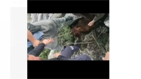 Mersin'de Kayalıklarda Sıkışan Keçi Kurtarıldı