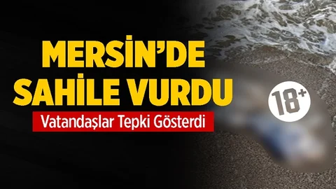 Karaduvar'da Buzağı Ölüsü Sahile Vurdu