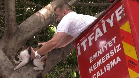 Kayıp Kedi Latte’yi Büyükşehir Personeli Bulup Kurtardı