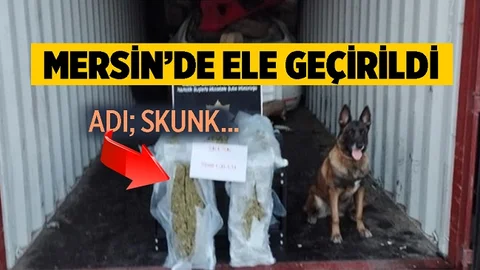 Mersin Limanında Uyuşturucu Operasyonu