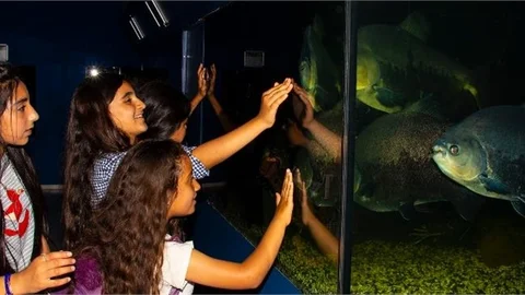 Mersin Büyükşehir, Kent Turu Projesi’nin Sınırlarını Genişletiyor