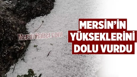 Erdemli İlçesinde Yaylalık Mahalleler Dolu Kabusu Yaşadı