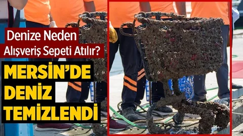 Denizin Dibinden Sandalye De Çıktı, Alışveriş Sepeti De…