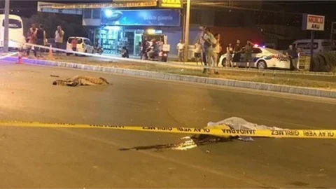 Mersin Silifke-taşucu Yolunda Trafik Kazası