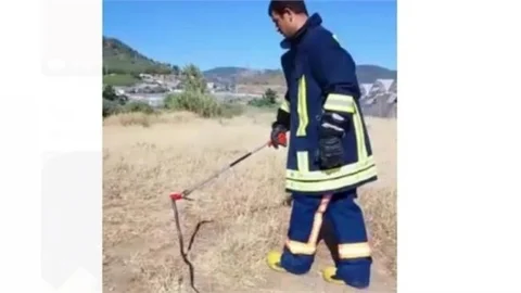 Mersin'de Eve Giren Yılan Paniğe Neden Oldu