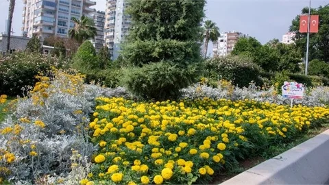 Mersin Büyükşehir’in Modern Dokunuşlarıyla Mersin Yeşile Doyuyor