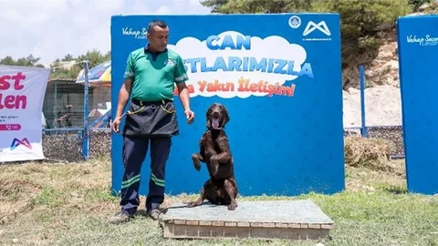 Mersin Büyükşehir Bünyesinde Bir İlk: ‘köpek Eğitim Alanı’
