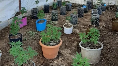 Mersin’de Narkotik Operasyonu