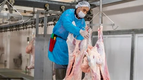 Mersin Büyükşehir, Mezbahalar ve Mobil Kesim Üniteleri İle Kurban Bayramı’na Hazır