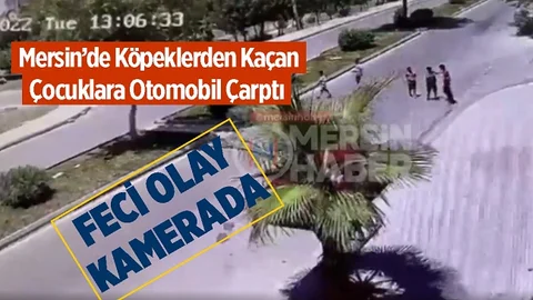 Sahipsiz Köpeklerden Kaçan Çocuklar Ölümden Döndü