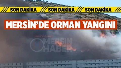 Gülnar İlçesinde Orman Yangını Çıktı, Müdahale Sürüyor