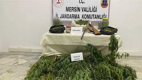 Çadırda Uyuşturucu İmal ve Satışına Jandarma Operasyonu