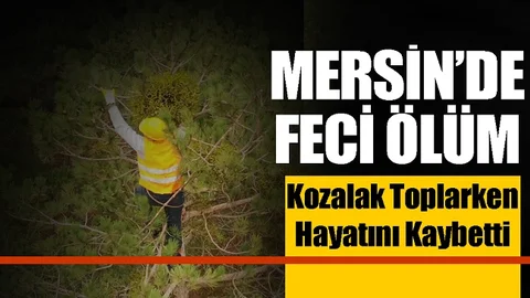 Feci Olay, Ağaçtan Düşen Adam Hayatını Kaybetti