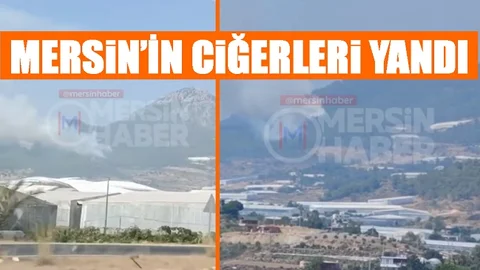 Alevler Uzun Uğraşlar Sonrası Kontrol Altına Alındı