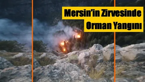 Toroslar’da Çıkan Yangına Müdahale Ediliyor