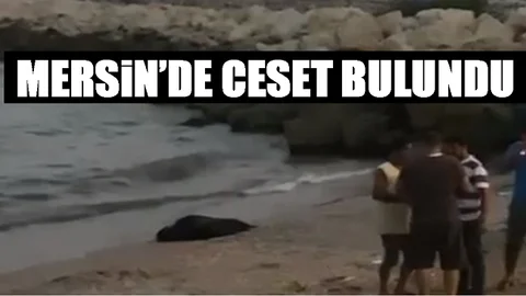 Talihsiz Adamın Cansız Bedeni Sahile Vurdu