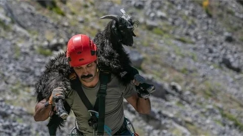 Yamaçta Mahsur Kalan Keçiyi İtfaiye Ekipleri Kurtardı