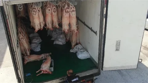 Mersin Emniyetinden Dev Operasyon