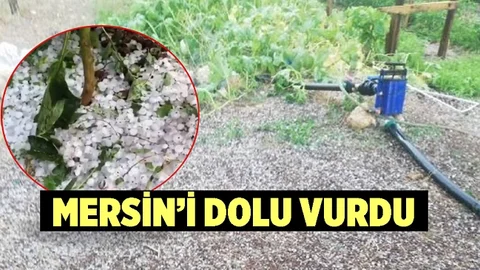 Yaylalık Mahallelerde Dolu Yağışı Zarara Yol Açtı