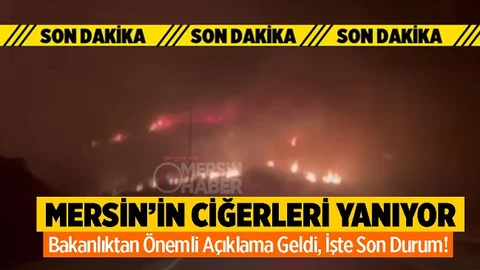 Sabah Saatlerinde Başlayan Yangınla Mücadele Aralıksız Sürüyor