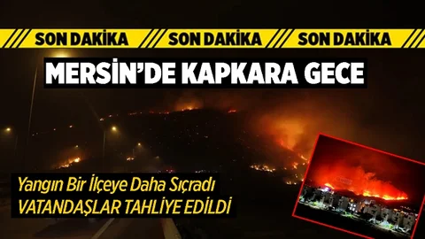 Alevler Şiddetli Rüzgarın Etkisiyle Büyüyor